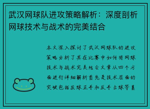 武汉网球队进攻策略解析：深度剖析网球技术与战术的完美结合